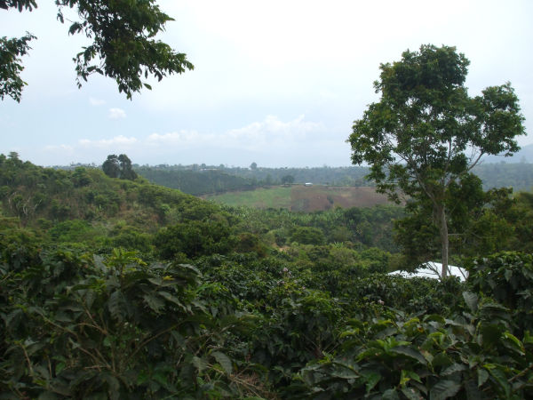 CR-076 property photo