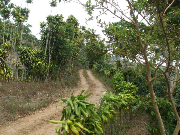 CR-076 property photo