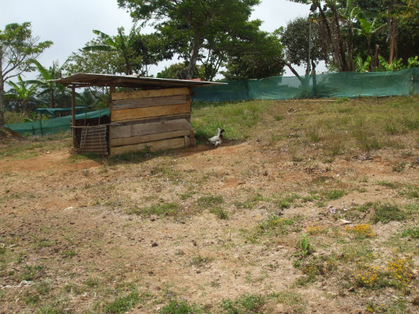 CR-076 property photo