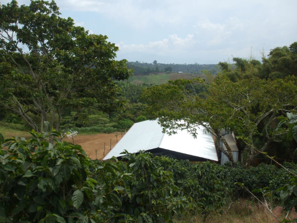 CR-076 property photo