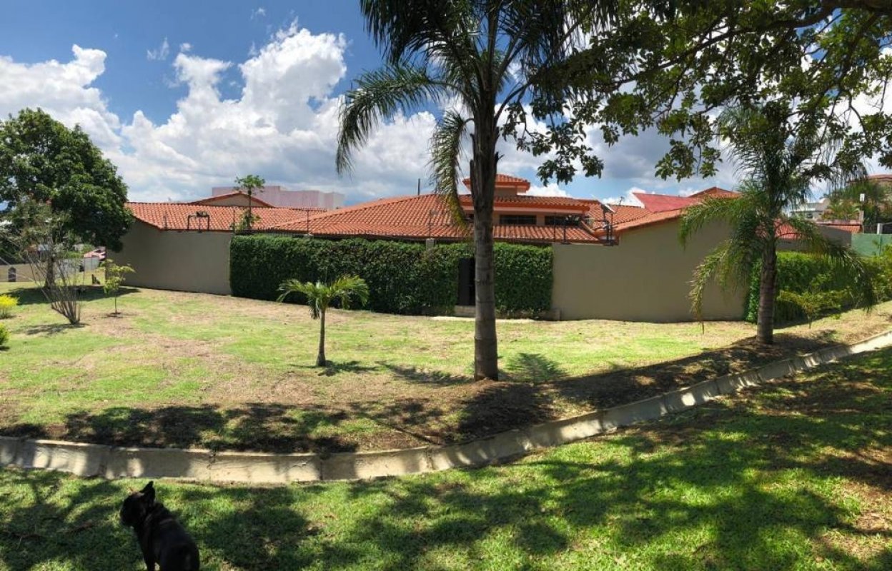 CR-102 property photo